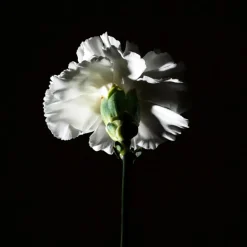 Florales<BDK Parfums Hair Perfume - Pas Ce Soir