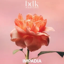 Cítricos | Gourmand<BDK Parfums Impadia