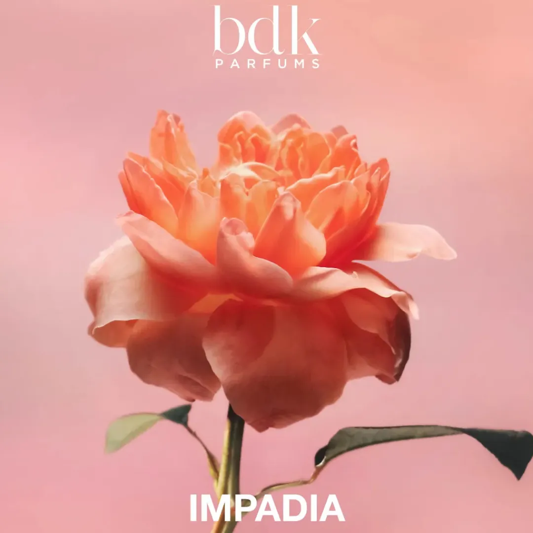 Cítricos | Gourmand<BDK Parfums Impadia
