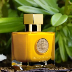 Gourmand | Ámbar<Nectar Olfactif Melipona
