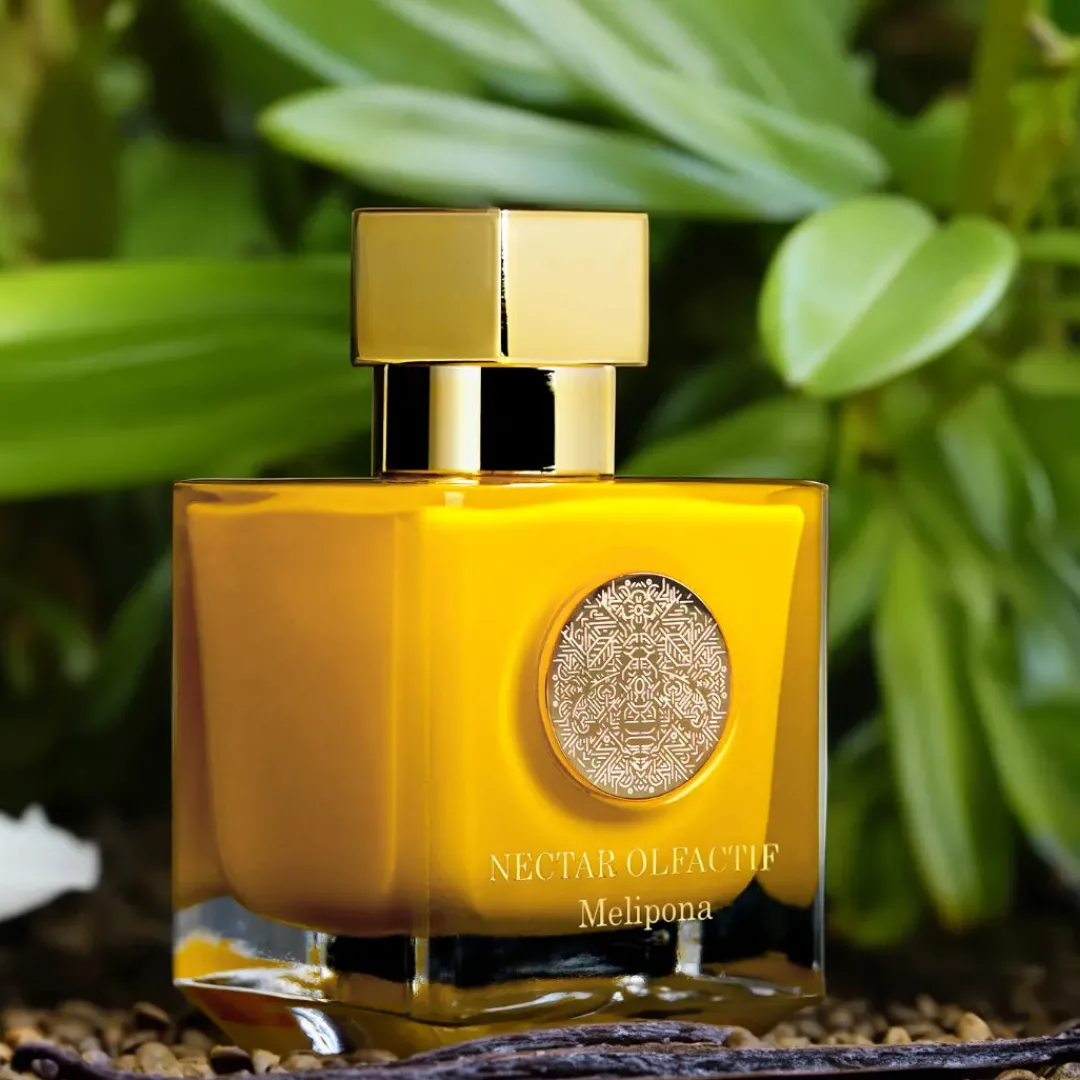 Gourmand | Ámbar<Nectar Olfactif Melipona