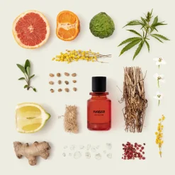 Cítricos | Ámbar<Fugazzi Nocologne