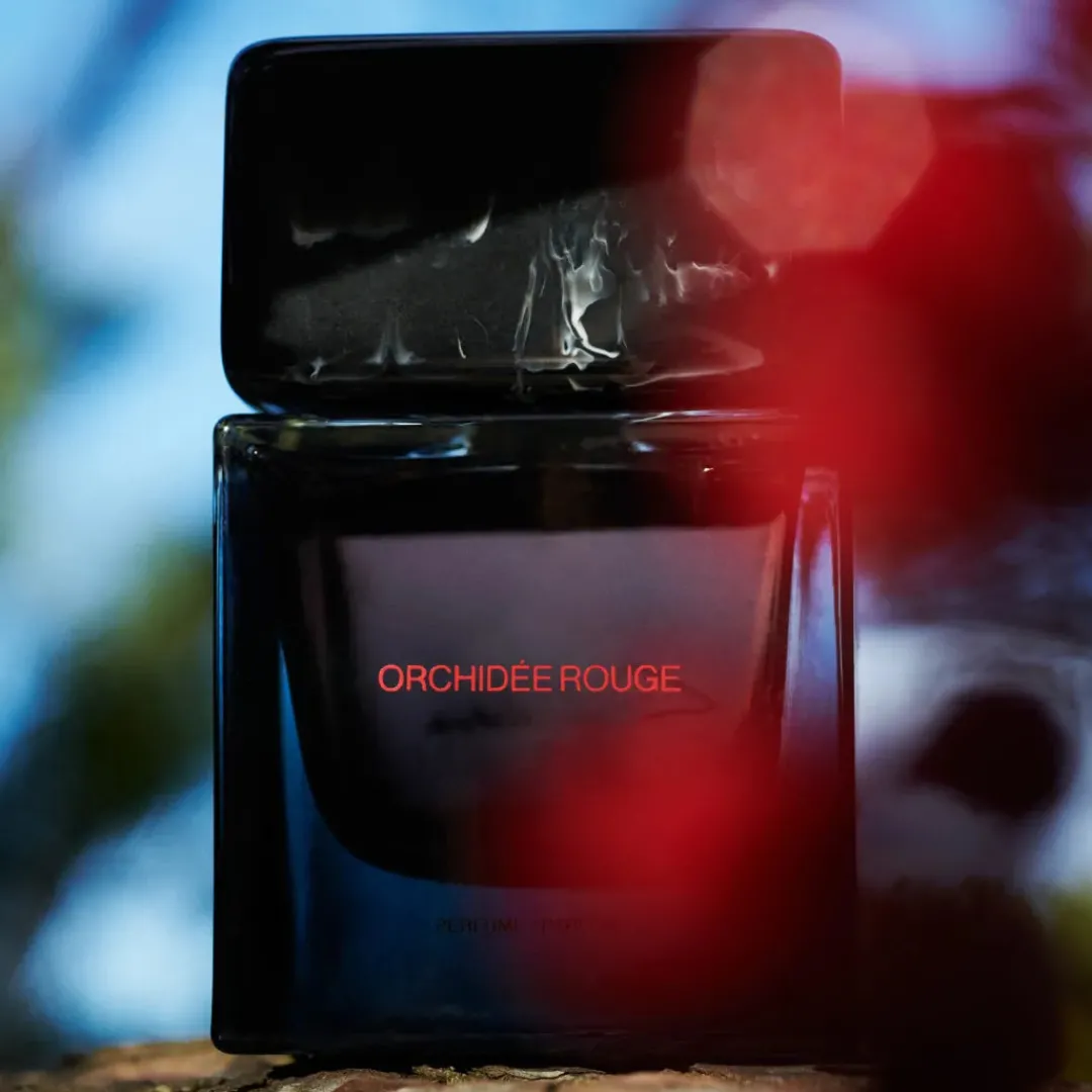 Ámbar<SORA DORA Orchidée Rouge