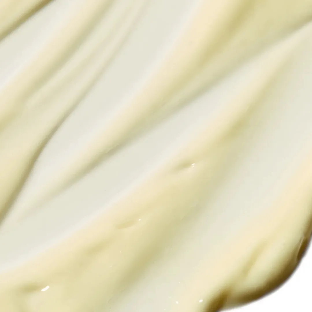Cremas Hidratantes<Pai Skincare Salvation Jane | Omega Rich Moisturiser