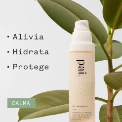 Cremas Hidratantes<Pai Skincare The Anthemis Moisturiser