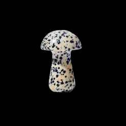Beauty Tools<Herbar The Gua-Shroom