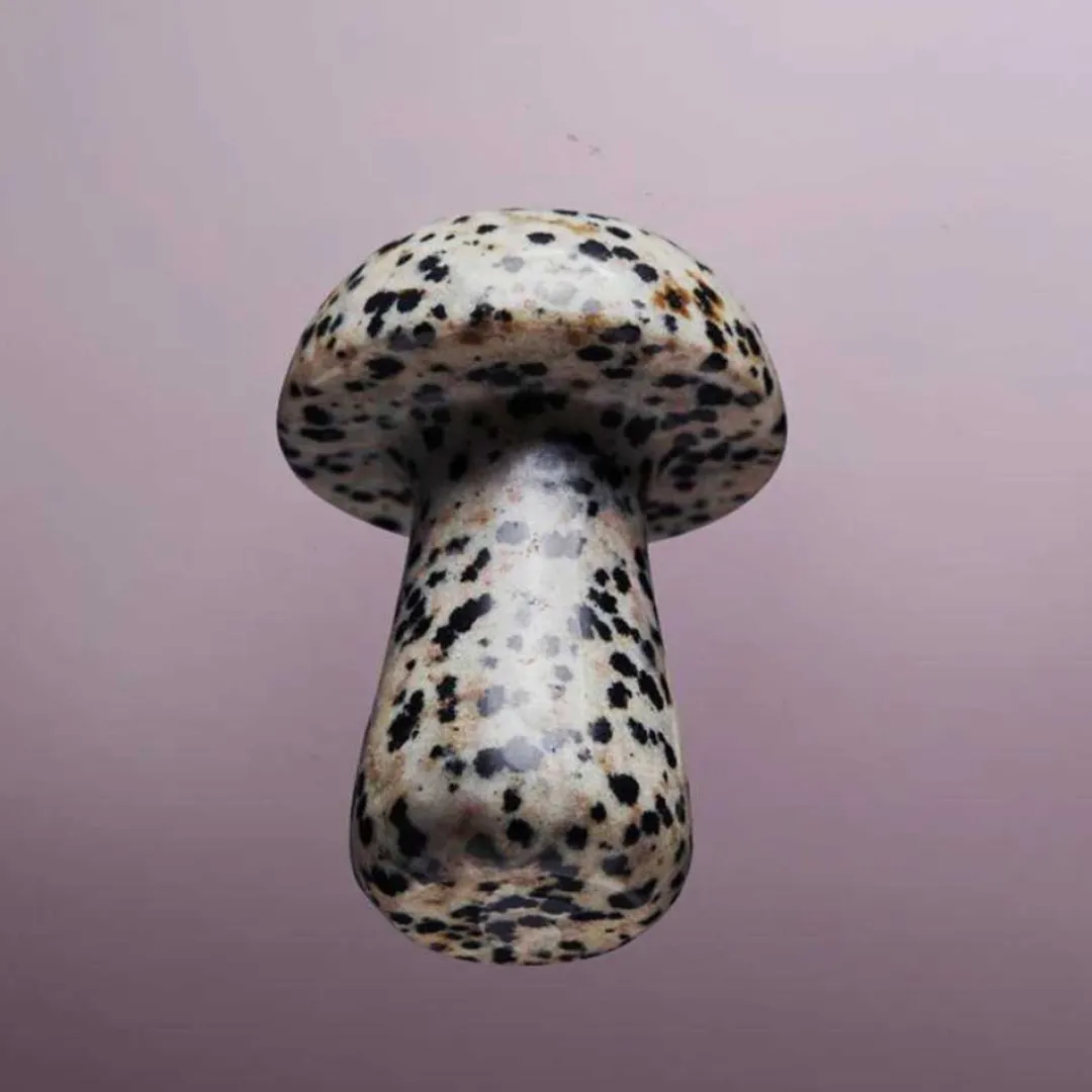 Beauty Tools<Herbar The Gua-Shroom