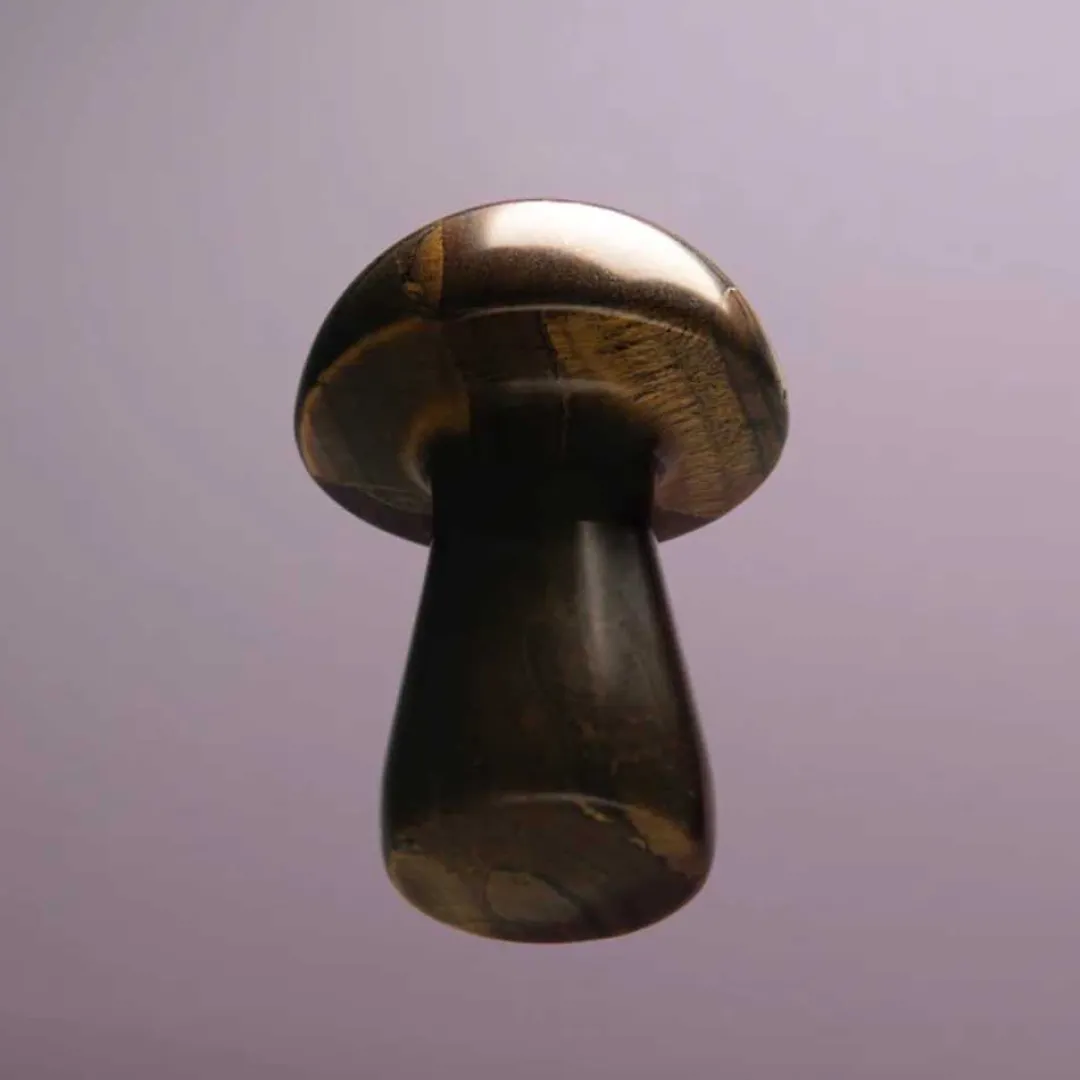 Beauty Tools<Herbar The Gua-Shroom