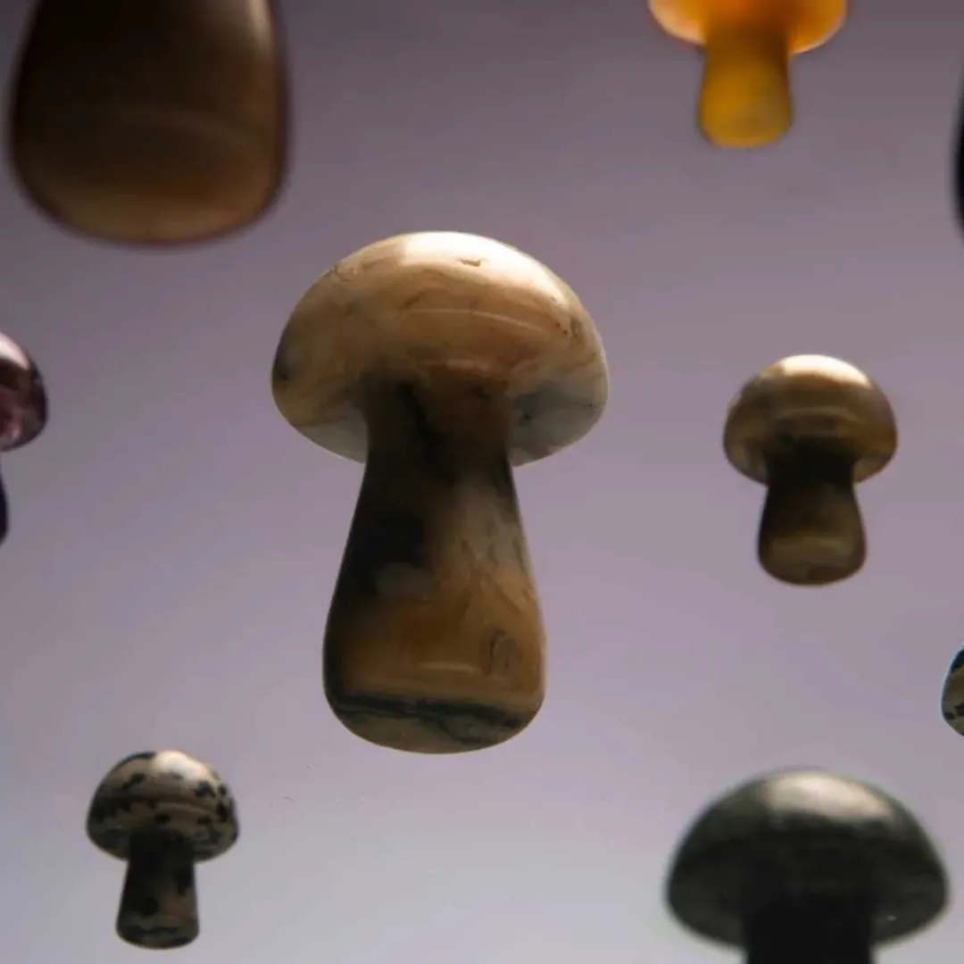 Beauty Tools<Herbar The Gua-Shroom