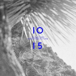 Cítricos<ROOM 1015 Wavechild
