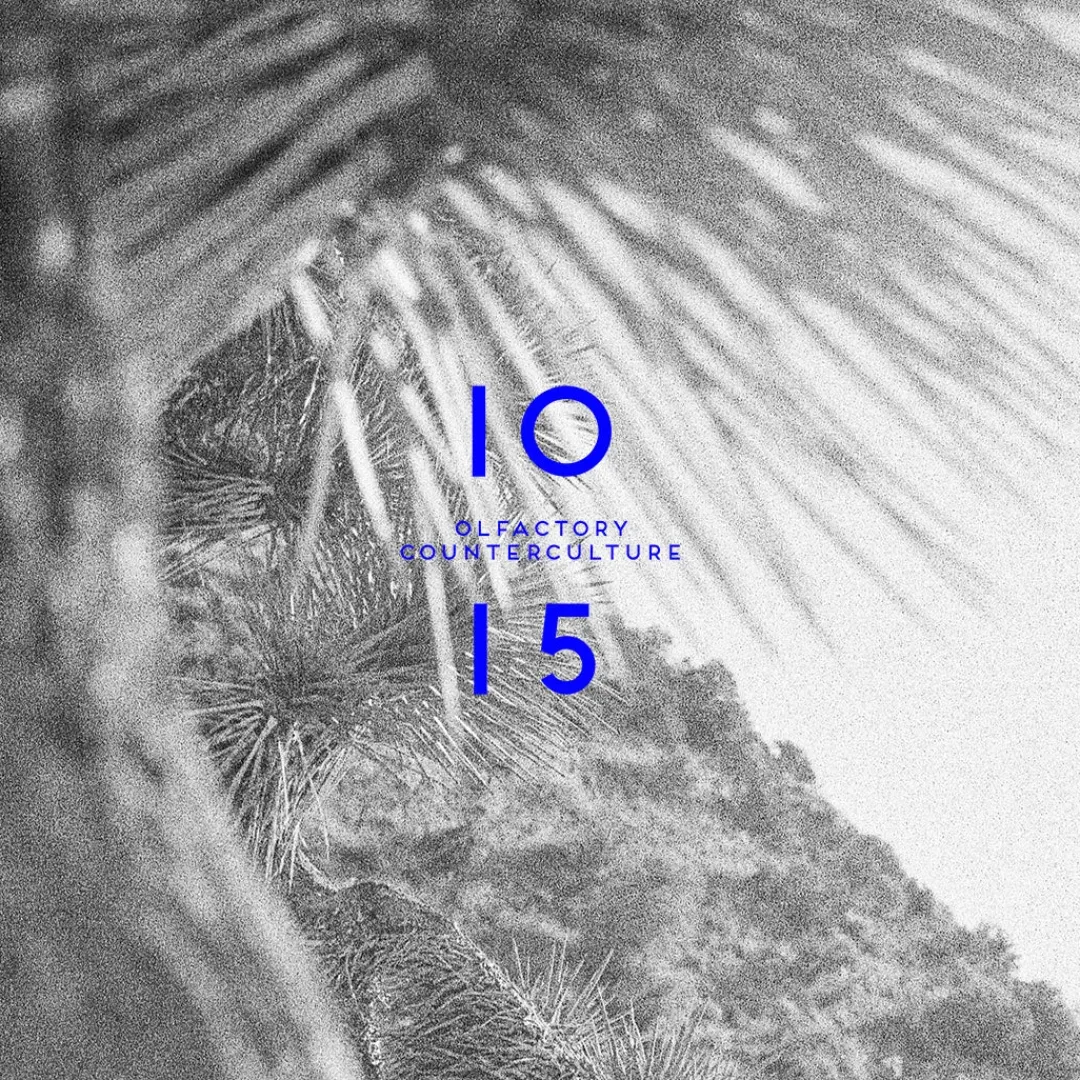Cítricos<ROOM 1015 Wavechild